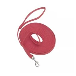 Correa De Entrenamiento Coastal -Mascotas Productos Tienda coastal training red