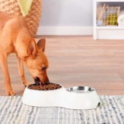 Plato Doble Dog It 7 Plato Doble Dog It -Mascotas Productos Tienda comedero doble dogit 3