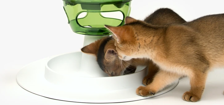 Comedero Interactivo "Food Tree" Para Gatos 7 Comedero Interactivo "Food Tree" Para Gatos - Imagen 5