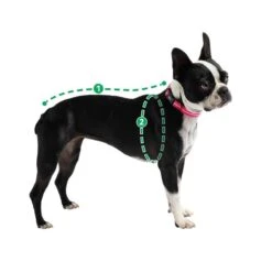 Impermeable Reversible Neon Aqua -Mascotas Productos Tienda como medir 12