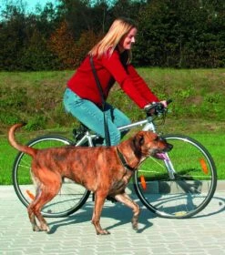 Correa De Bicicleta Y Footing