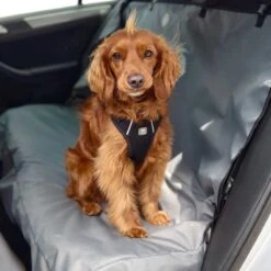 Cubierta Para Asiento GF Pet -Mascotas Productos Tienda cubre asiento gfpet 2