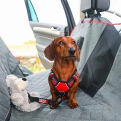 Cubre Asientos Y Hamaca 2 En 1 "Kong Travel" -Mascotas Productos Tienda cubre asientos hamaca kong travel 02