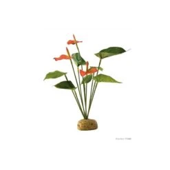 Deco Anthurium Bush Exo Terra