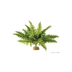 Deco Helecho Boston Fern Exo Terra
