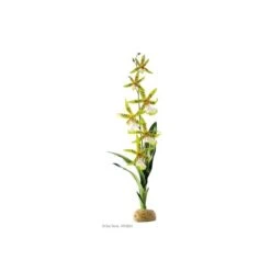 Deco Orquídea Exo Terra