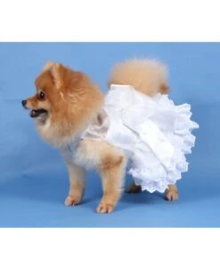 Disfraz De Novia -Mascotas Productos Tienda disfraz de novia 2