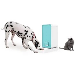Dispensador Automático De Alimento Petkit -Mascotas Productos Tienda dispensador automatico alimento petkit 03