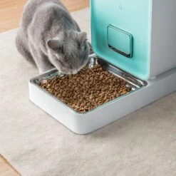Dispensador Automático De Alimento Petkit -Mascotas Productos Tienda dispensador automatico alimento petkit 04