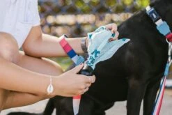 Bolsas Sanitarias Biodegradables "Poop Bags" Zee.Dog -Mascotas Productos Tienda dog poop bag blue zeedog feature caroussel 1 1024x1024