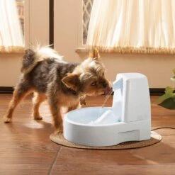 Fuente Bebedera Drinkwell Original Para Perros Y Gatos -Mascotas Productos Tienda drinkwellfoto1