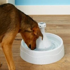 Fuente Bebedera 360 Drinkwell Para Perros Y Gatos -Mascotas Productos Tienda drinwell 360 foto1