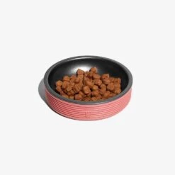 Plato Para Gatos "Duo Bowl" Zee.Cat -Mascotas Productos Tienda duobowl terracota 3