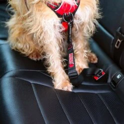 Enganche De Cinturón De Seguridad "Kong Travel" -Mascotas Productos Tienda enganche cintuon seguridad kong travel 05