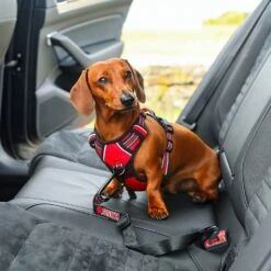 Enganche De Cinturón De Seguridad "Kong Travel" -Mascotas Productos Tienda enganche cintuon seguridad kong travel 06