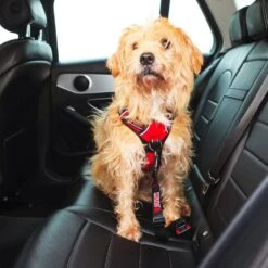 Enganche De Cinturón De Seguridad "Kong Travel" -Mascotas Productos Tienda enganche cintuon seguridad kong travel 07