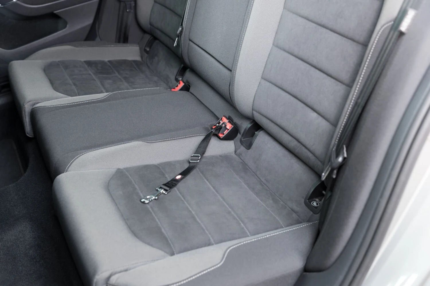 Enganche De Cinturón De Seguridad Trixie 5 Enganche De Cinturón De Seguridad Trixie - Imagen 3