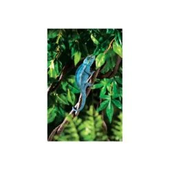 Deco Enredadera Jungla Exo Terra -Mascotas Productos Tienda enredadera jungla 2