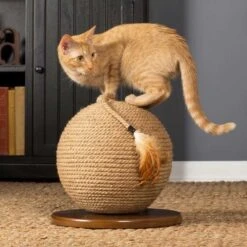 Rascador Esfera Kitty Power Paws 9 Rascador Esfera Kitty Power Paws -Mascotas Productos Tienda esfera kitty power 4