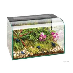 Terrario De Escritorio Habisphere Exo Terra
