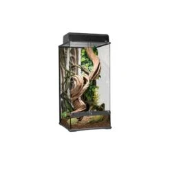 Exo Terra Terrario Small Extra Alto