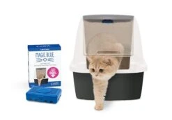 Filtro MAGIC BLUE Para Caja De Arena -Mascotas Productos Tienda filtro magic blue 3