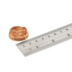 Fish4Dogs Love Squid Bites 80 Gr -Mascotas Productos Tienda fish4dogs love squid bites 2