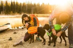 Alforja "Approach" Ruffwear Para Perros -Mascotas Productos Tienda foto 3