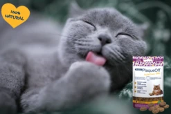 Cuidado Dental Proden PlaqueOff® Croq Bites Para Gatos -Mascotas Productos Tienda gato dental bites web 1
