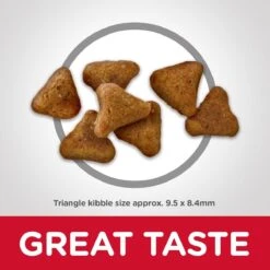 Hill's "Indoor" Para Gato Adulto -Mascotas Productos Tienda gato indoor 1 6 an os 3