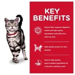 Hill's "Indoor" Para Gato Adulto -Mascotas Productos Tienda gato indoor 1 6 an os 5