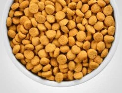 Hill's Reducción De Peso R/d Para Gatos -Mascotas Productos Tienda gatos rd 3