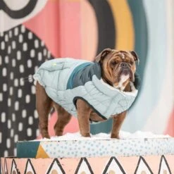 Chaqueta Retro Puffer Celeste 9 Chaqueta Retro Puffer Celeste -Mascotas Productos Tienda gfpet parka celeste 4