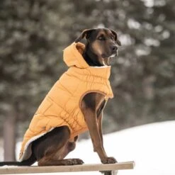 Parka Super Puff Amarilla -Mascotas Productos Tienda gfpet parkasuper amarillo 4