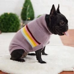 Sweater Retro Lavanda -Mascotas Productos Tienda gfpet sweater retro pink 4