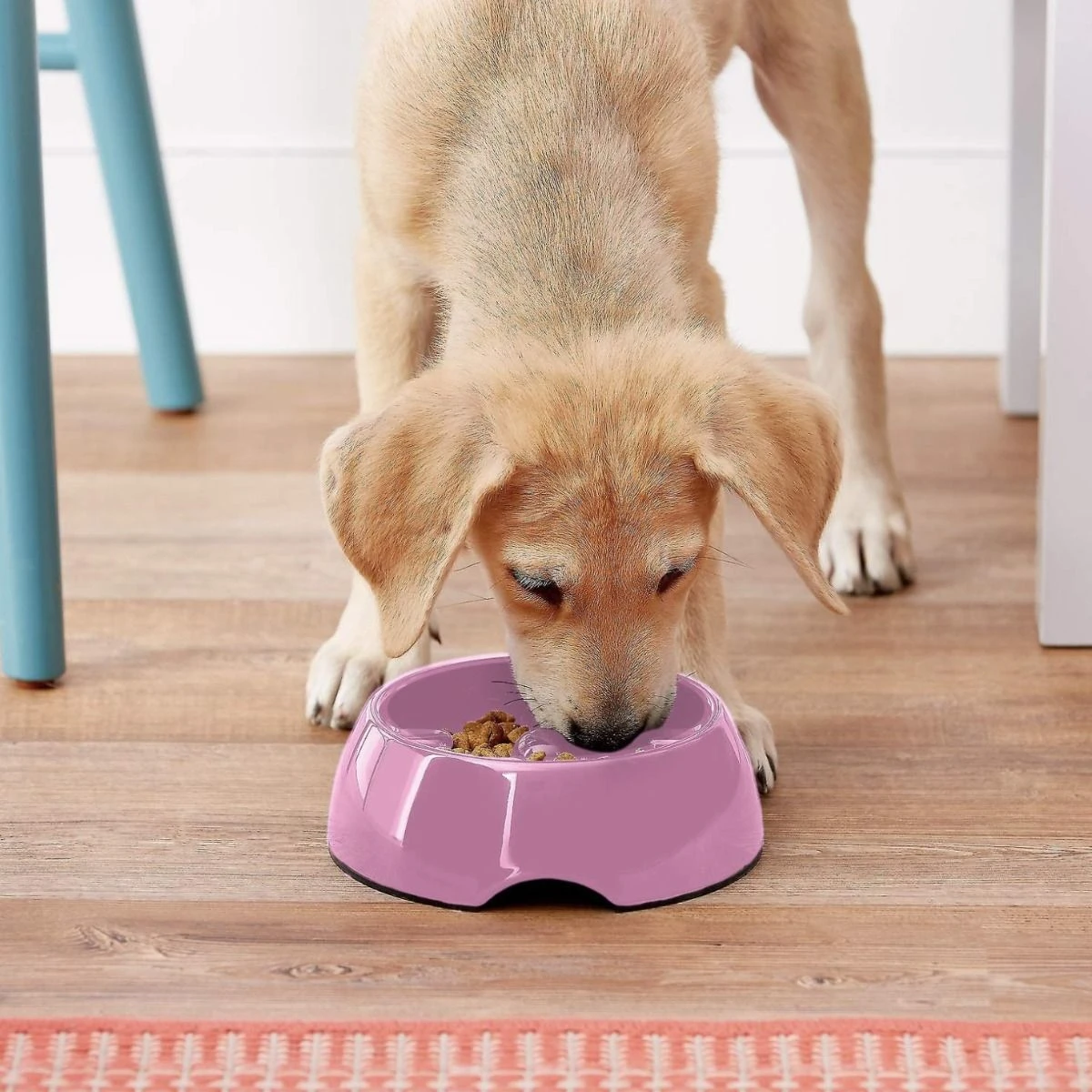 Plato Regulador De Ingesta "Go-Slow!" 4 Plato Regulador De Ingesta "Go-Slow!" - Imagen 2