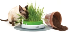 Germinador De Pasto Indoor Para Gatos 23 Germinador De Pasto Indoor Para Gatos -Mascotas Productos Tienda grass planter 10