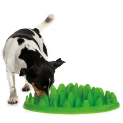 Comedero Interactivo GREEN Para Perros