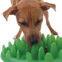 Comedero Interactivo GREEN Para Perros -Mascotas Productos Tienda green 5