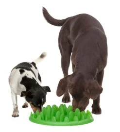 Comedero Interactivo GREEN Para Perros -Mascotas Productos Tienda green 8