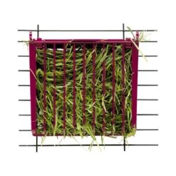 Henera Para Buffet Kaytee