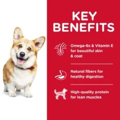 Hill's "Small Bites" Perro Adulto 13 Hill's "Small Bites" Perro Adulto -Mascotas Productos Tienda hill s 22small bites 22 4