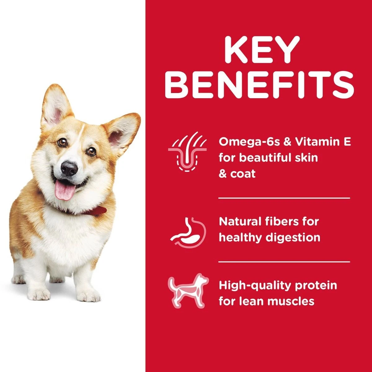 Hill's "Small Bites" Perro Adulto 6 Hill's "Small Bites" Perro Adulto - Imagen 4