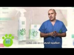 Collar Anti Insectos, Pulgas Y Garrapatas Para Gatos -Mascotas Productos Tienda hqdefault 14 14