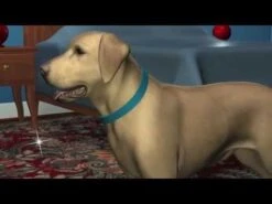 Antiparasitario REVOLUTION 12% Para Perros De 5,1 A 10 Kg -Mascotas Productos Tienda hqdefault 14 20