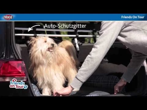 Set De Bicicleta Para Perros 9 Set De Bicicleta Para Perros - Imagen 7