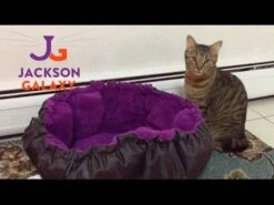 Cama Y Alfombra Convertible "Clamshell" Jackson Galaxy Para Gatos -Mascotas Productos Tienda hqdefault 14 3