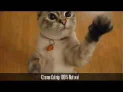 Spray Menta "Xtreme CATNIP" Super Concentrado Para Gatos -Mascotas Productos Tienda hqdefault 14 8