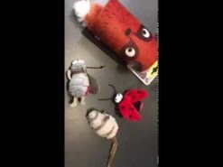 Grillo Con Sonido "Melody Chaser" -Mascotas Productos Tienda hqdefault 30 1