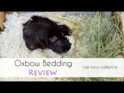 Sustrato Para Cama "Pure Comfort" -Mascotas Productos Tienda hqdefault 32